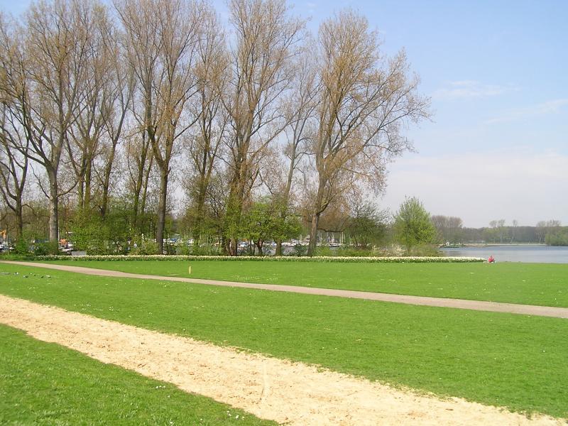 P1010051.JPG