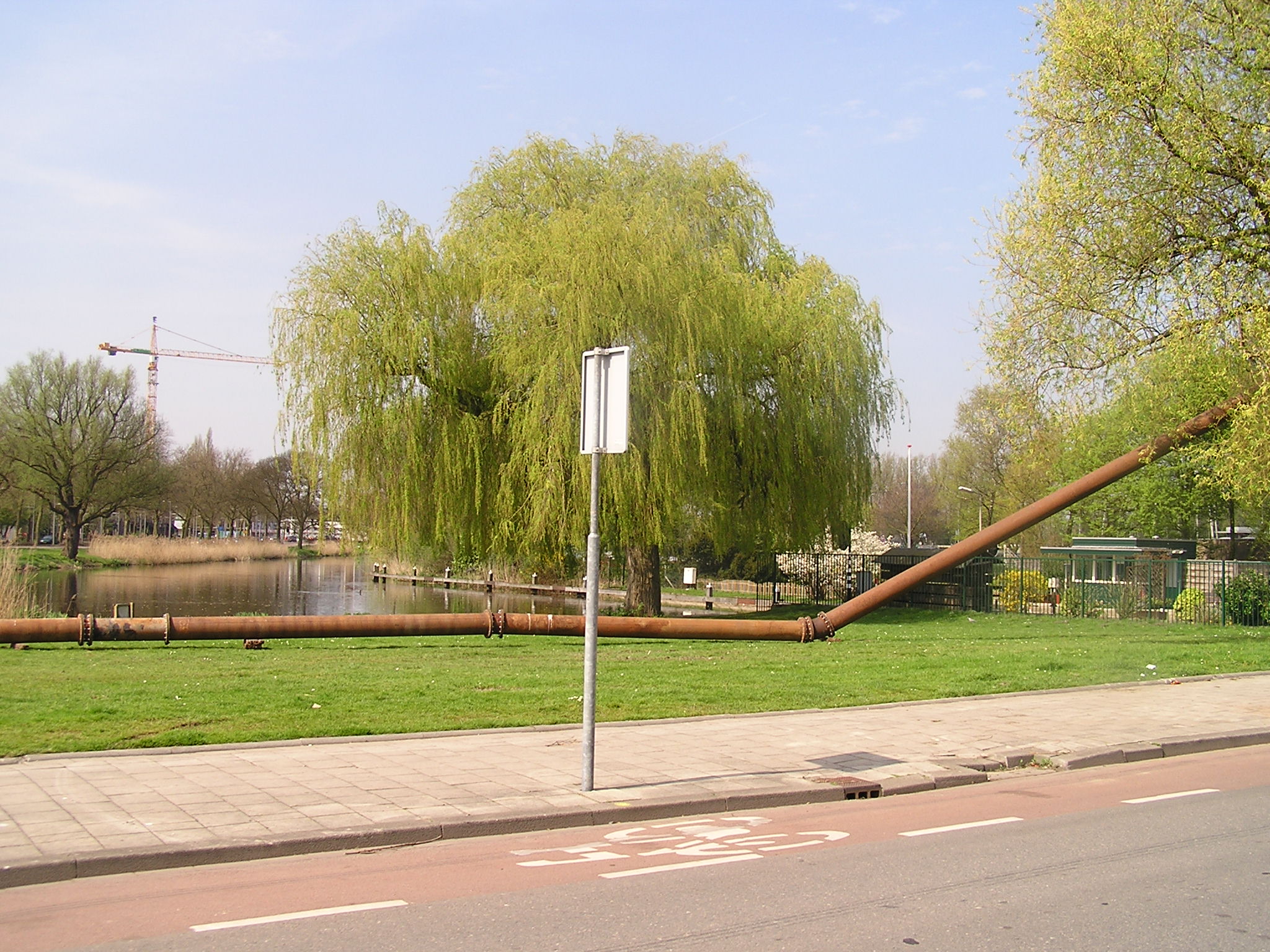 P1010053.JPG