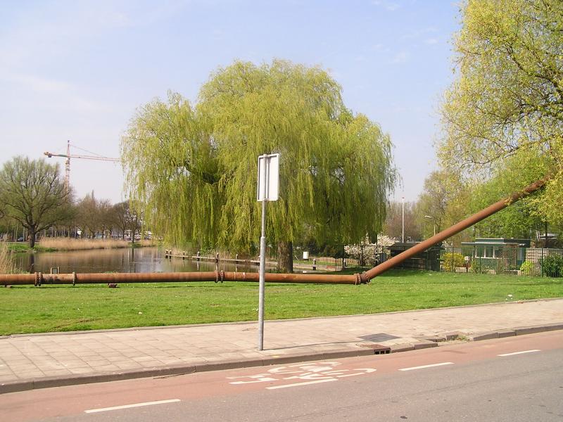 P1010053.JPG