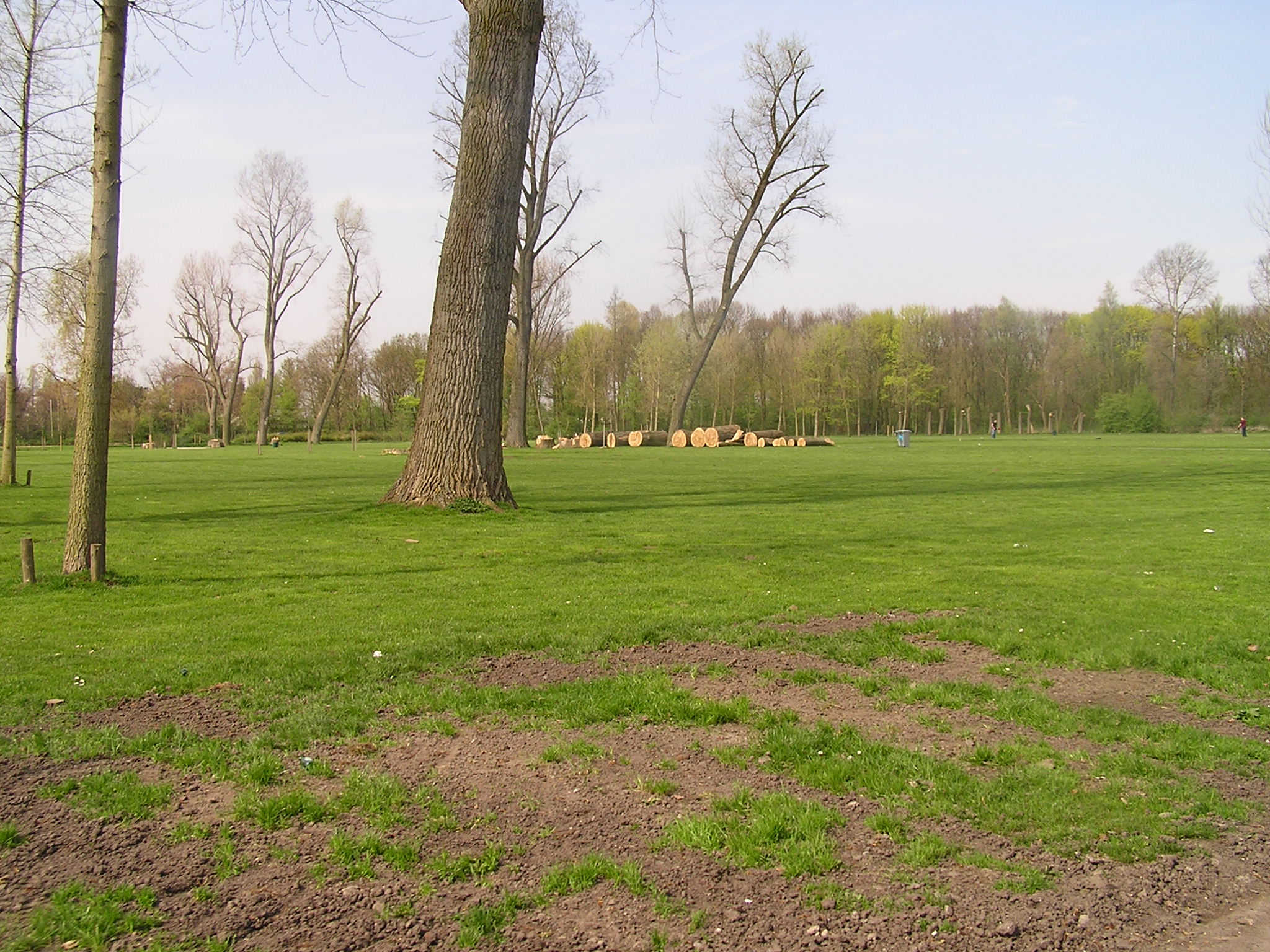 P1010055.JPG