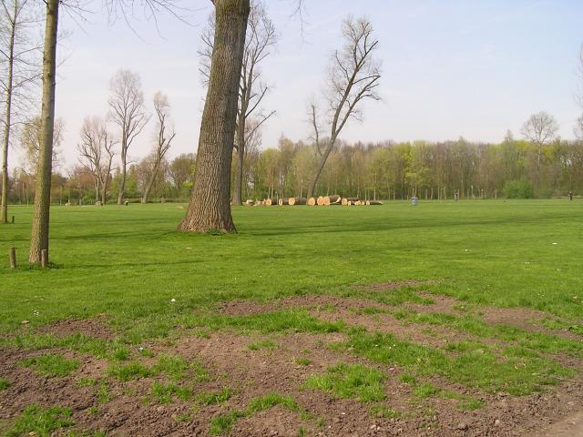 P1010055.JPG