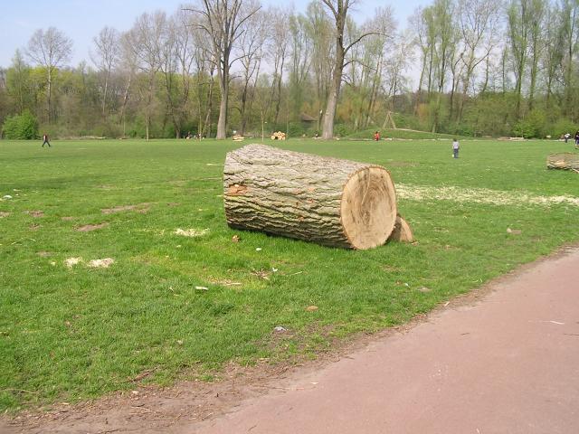 P1010057.JPG
