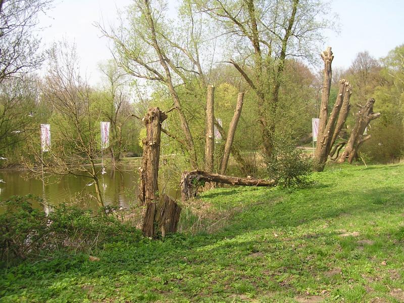 P1010062.JPG