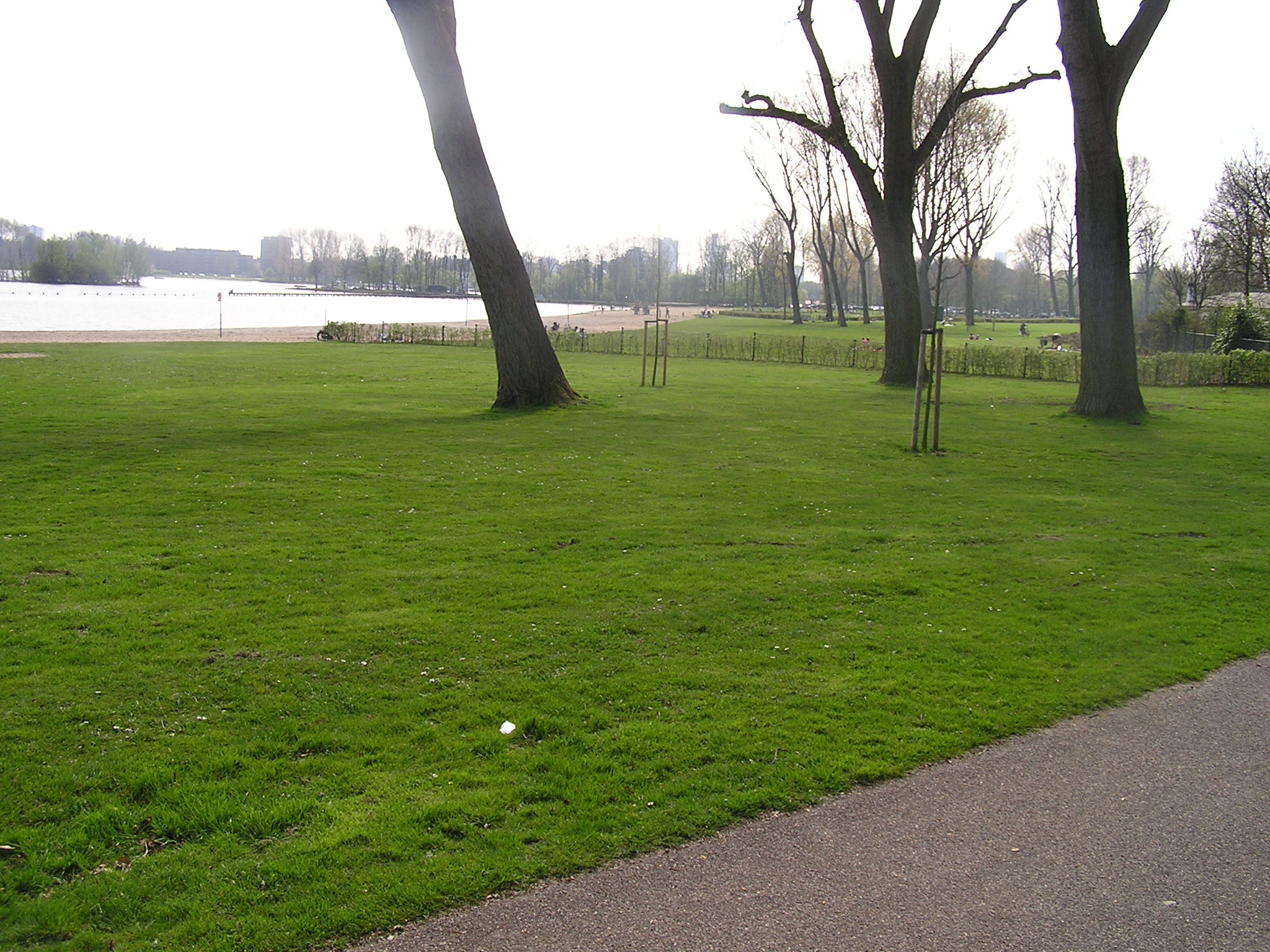 P1010070.JPG