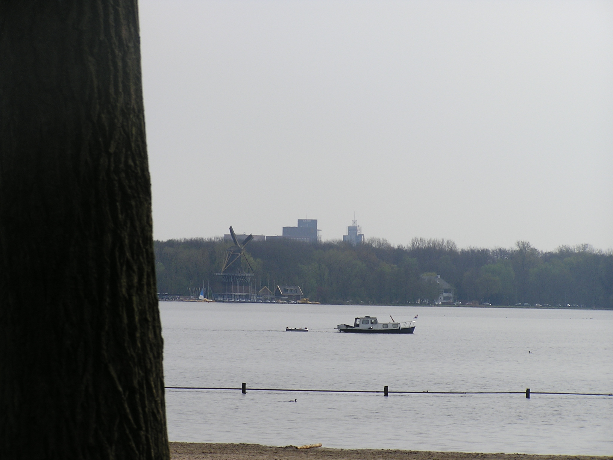 P1010077.JPG