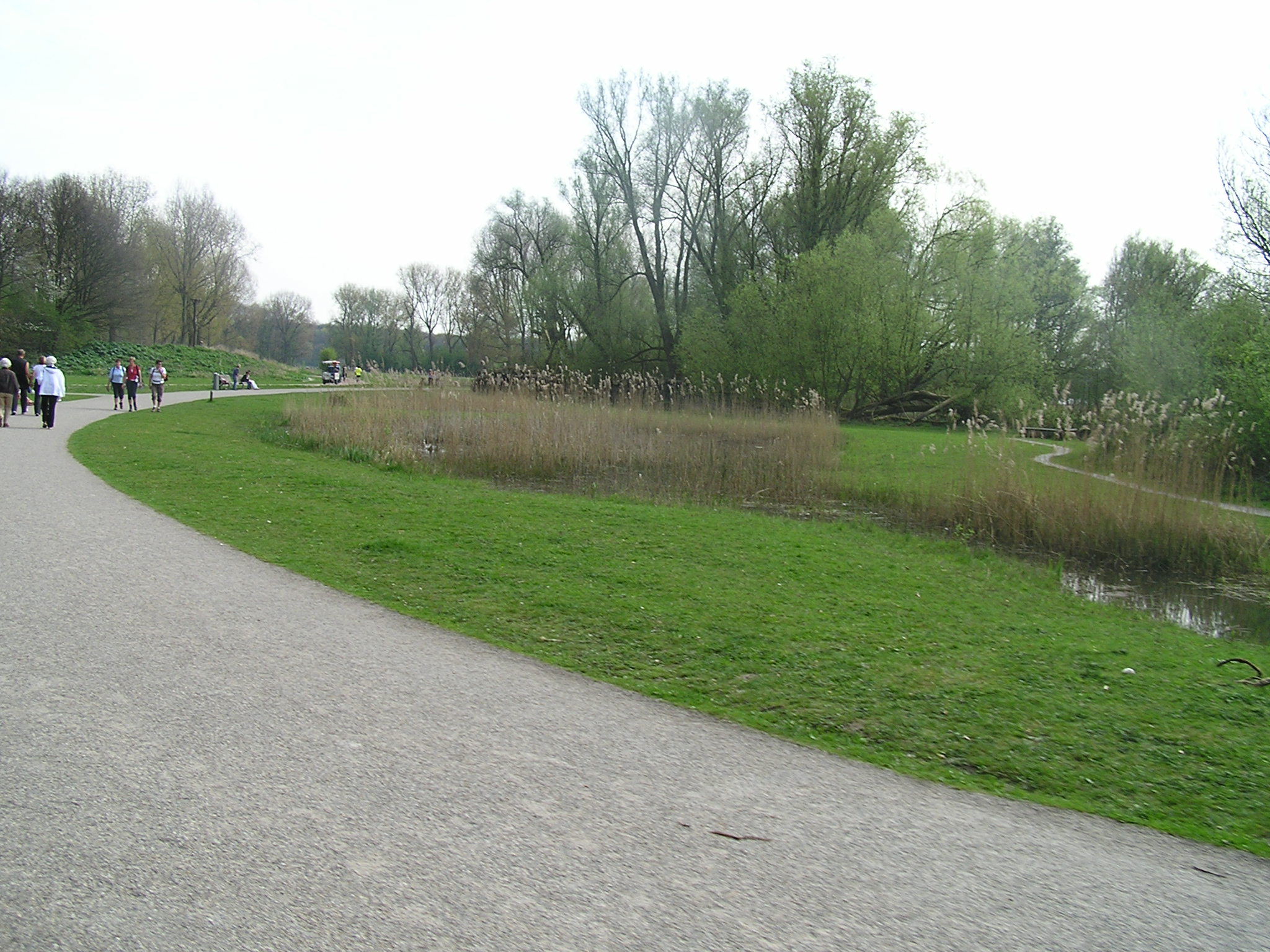 P1010081.JPG