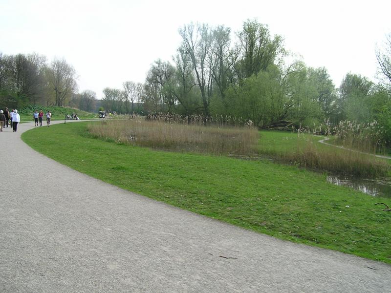 P1010081.JPG