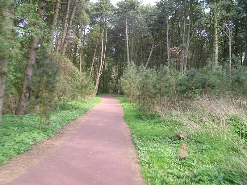 P1010082.JPG