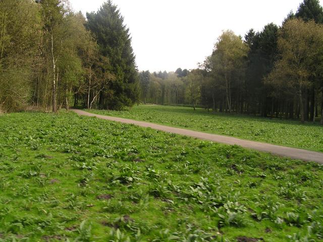 P1010084.JPG