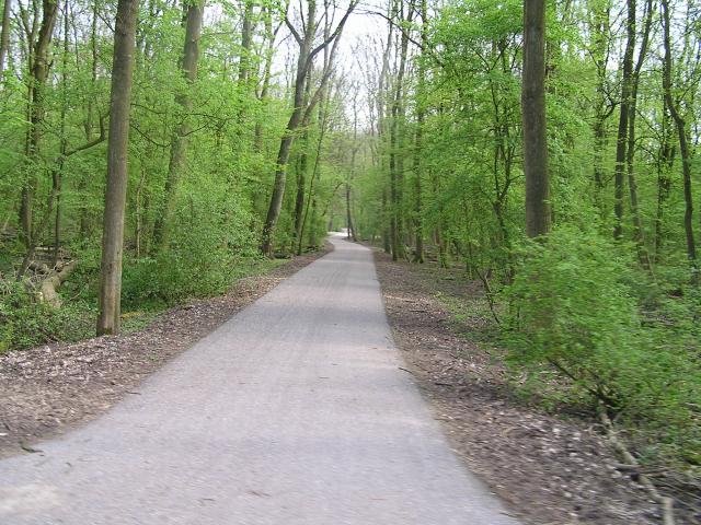 P1010085.JPG