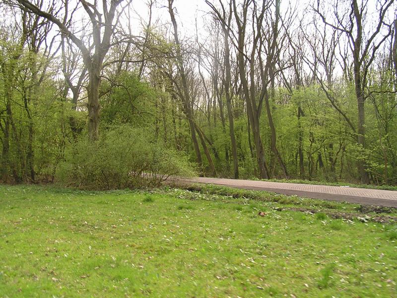 P1010088.JPG