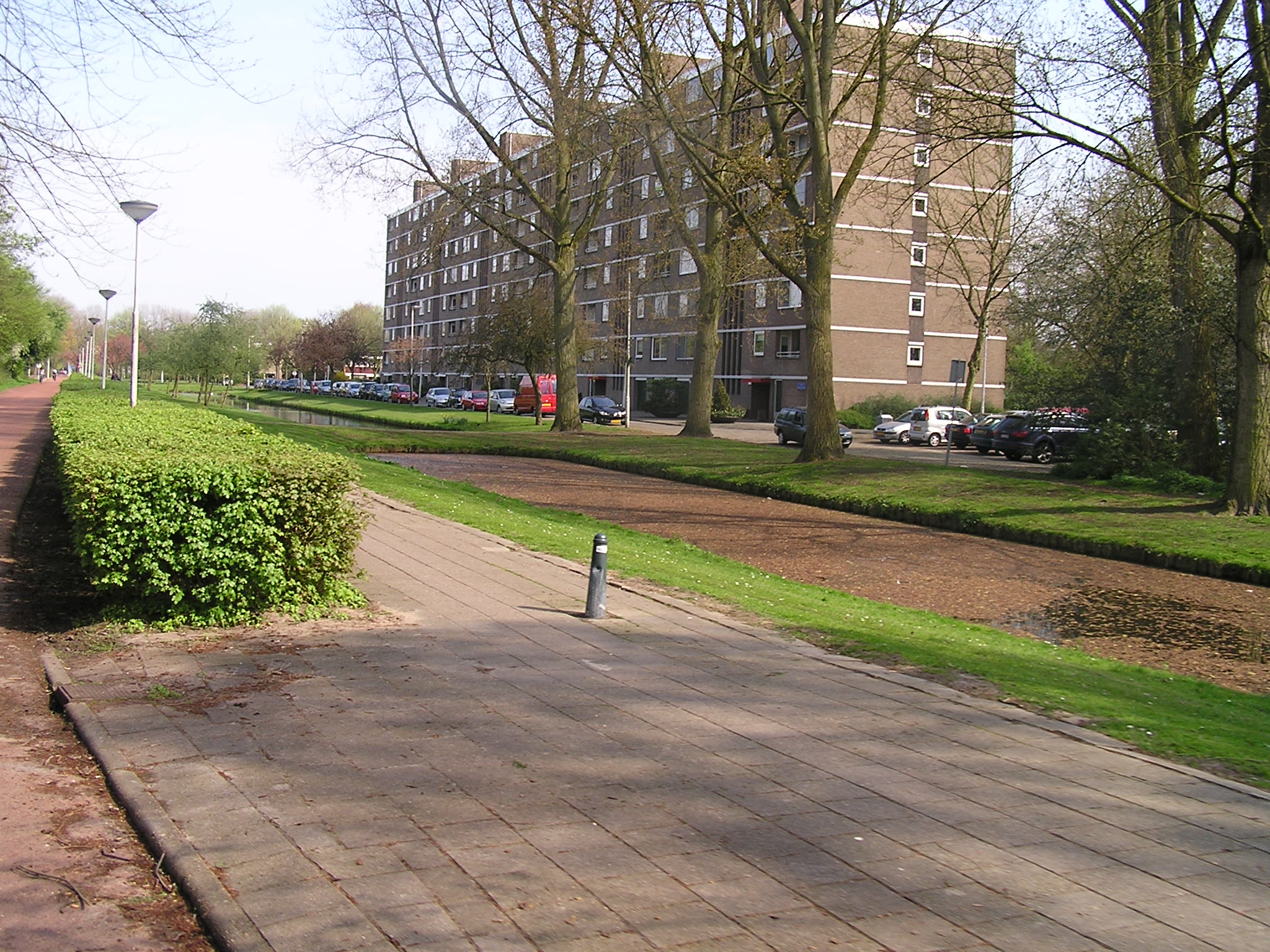 P1010093.JPG