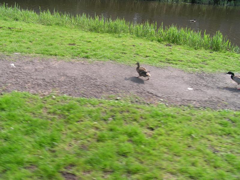 P1010096.JPG