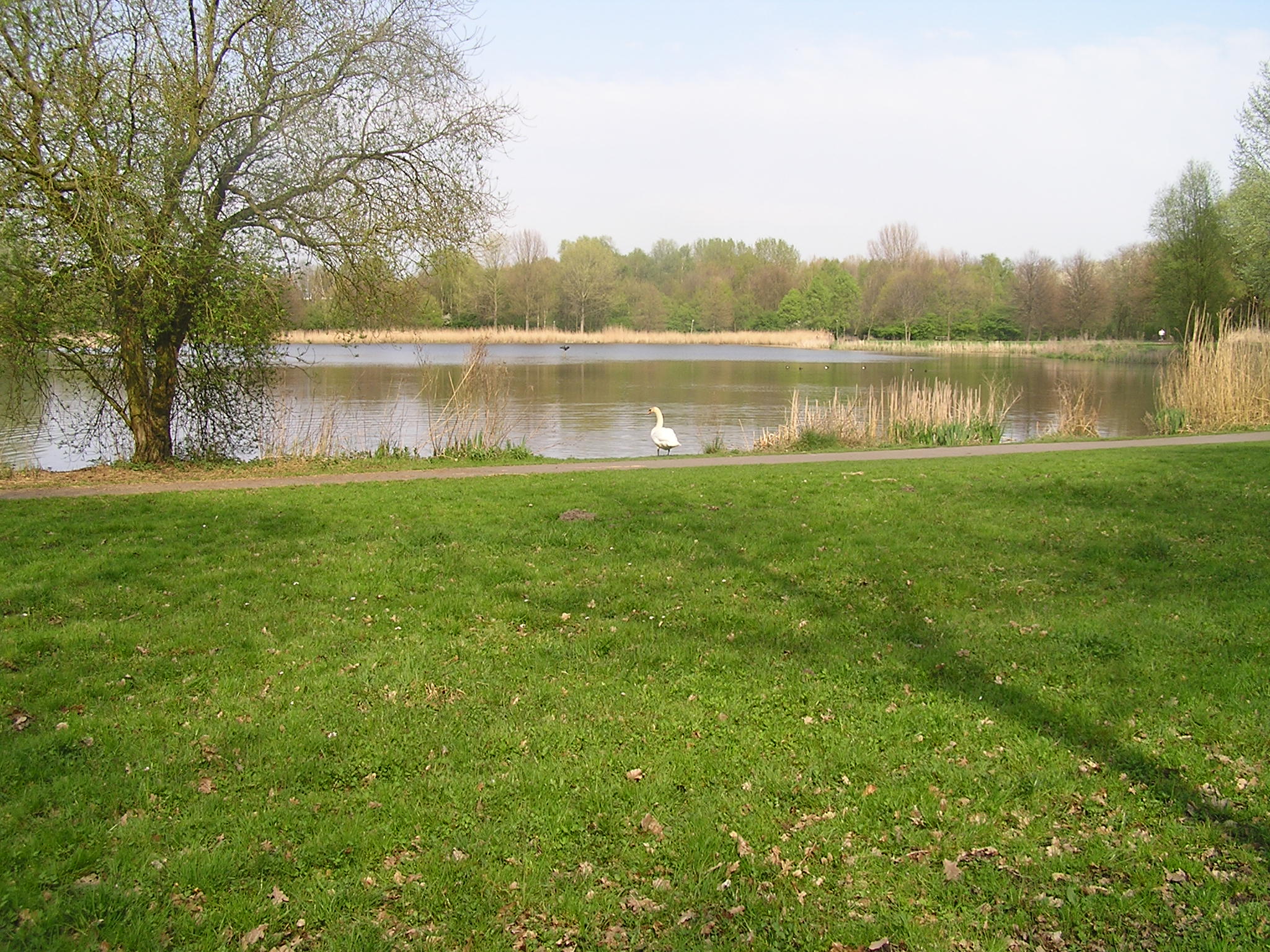 P1010104.JPG