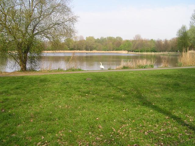 P1010104.JPG