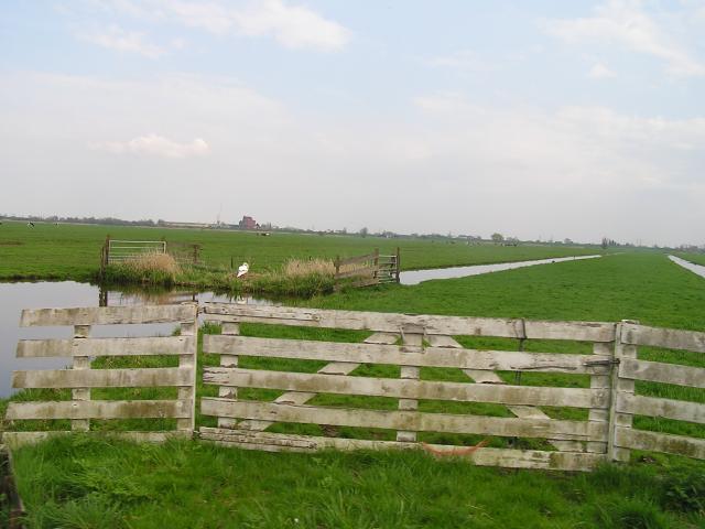 P1010125.JPG