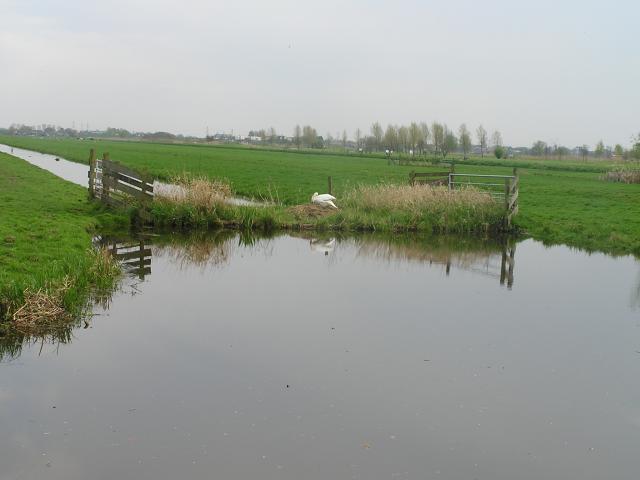 P1010126.JPG