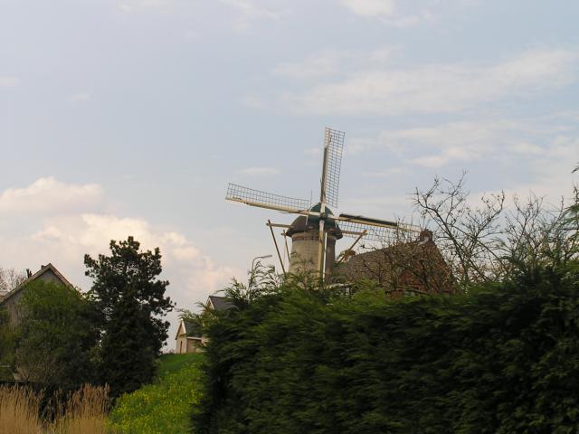 P1010130.JPG