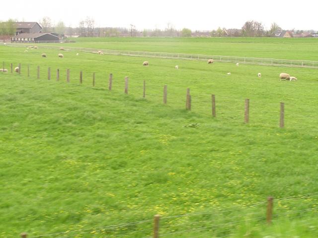P1010132.JPG