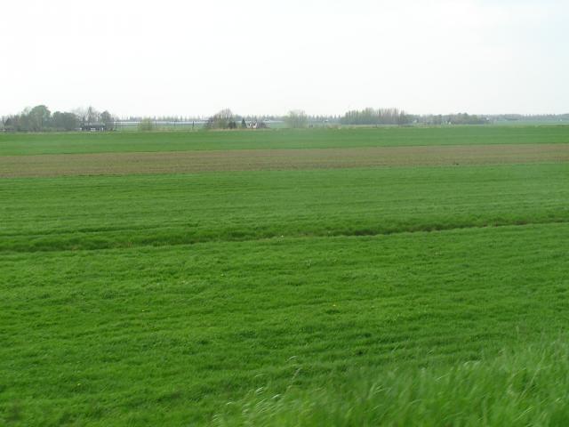 P1010133.JPG