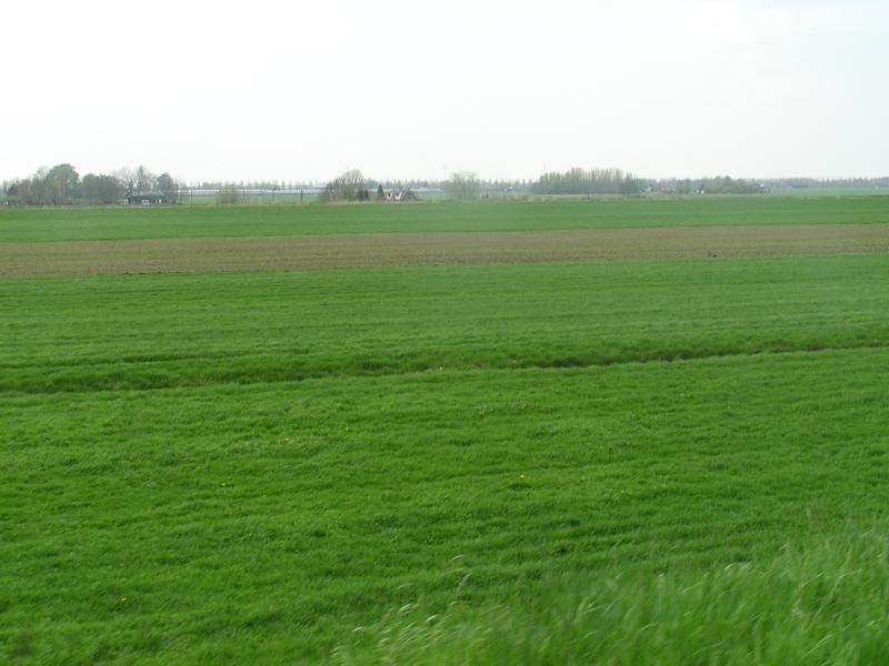 P1010133.JPG