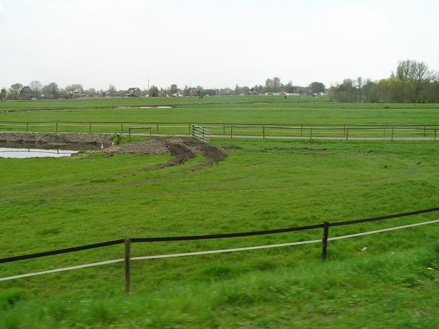 P1010143.JPG