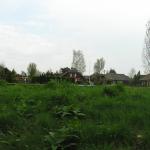 P1010159.JPG