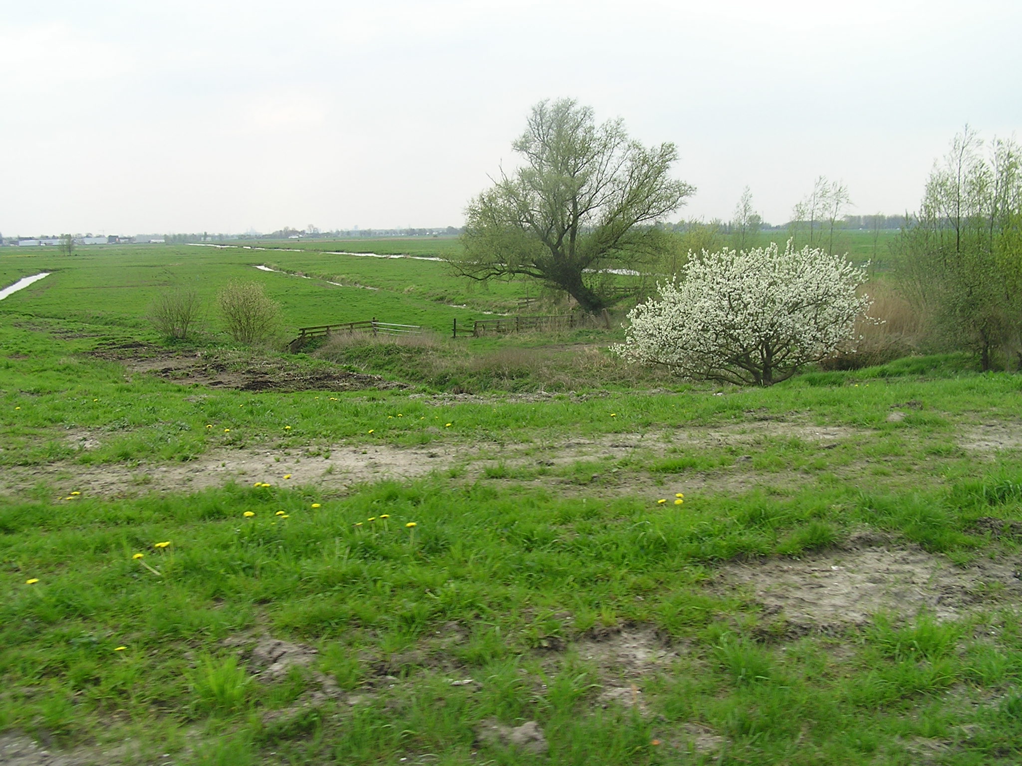 P1010167.JPG
