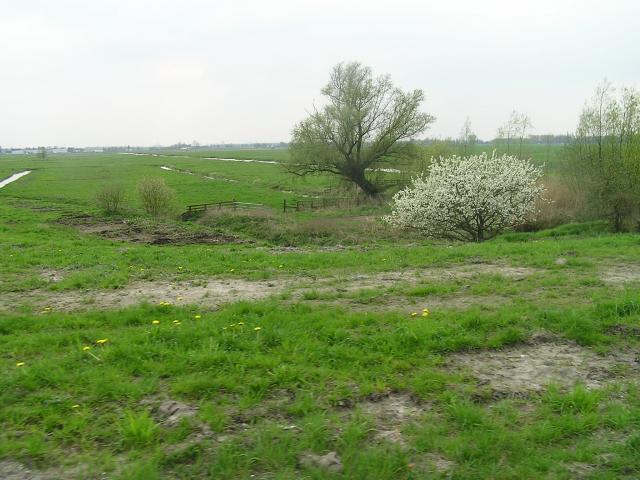 P1010167.JPG