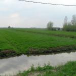 P1010170.JPG