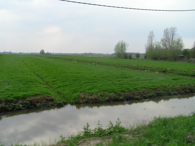 P1010170.JPG