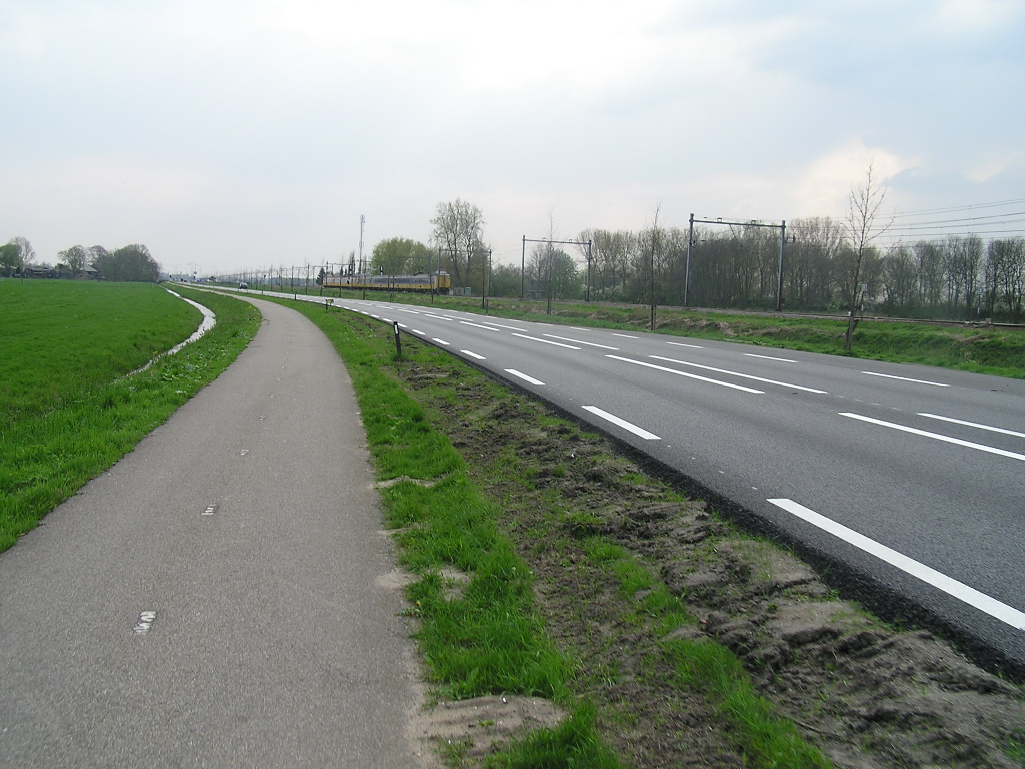 P1010174.JPG