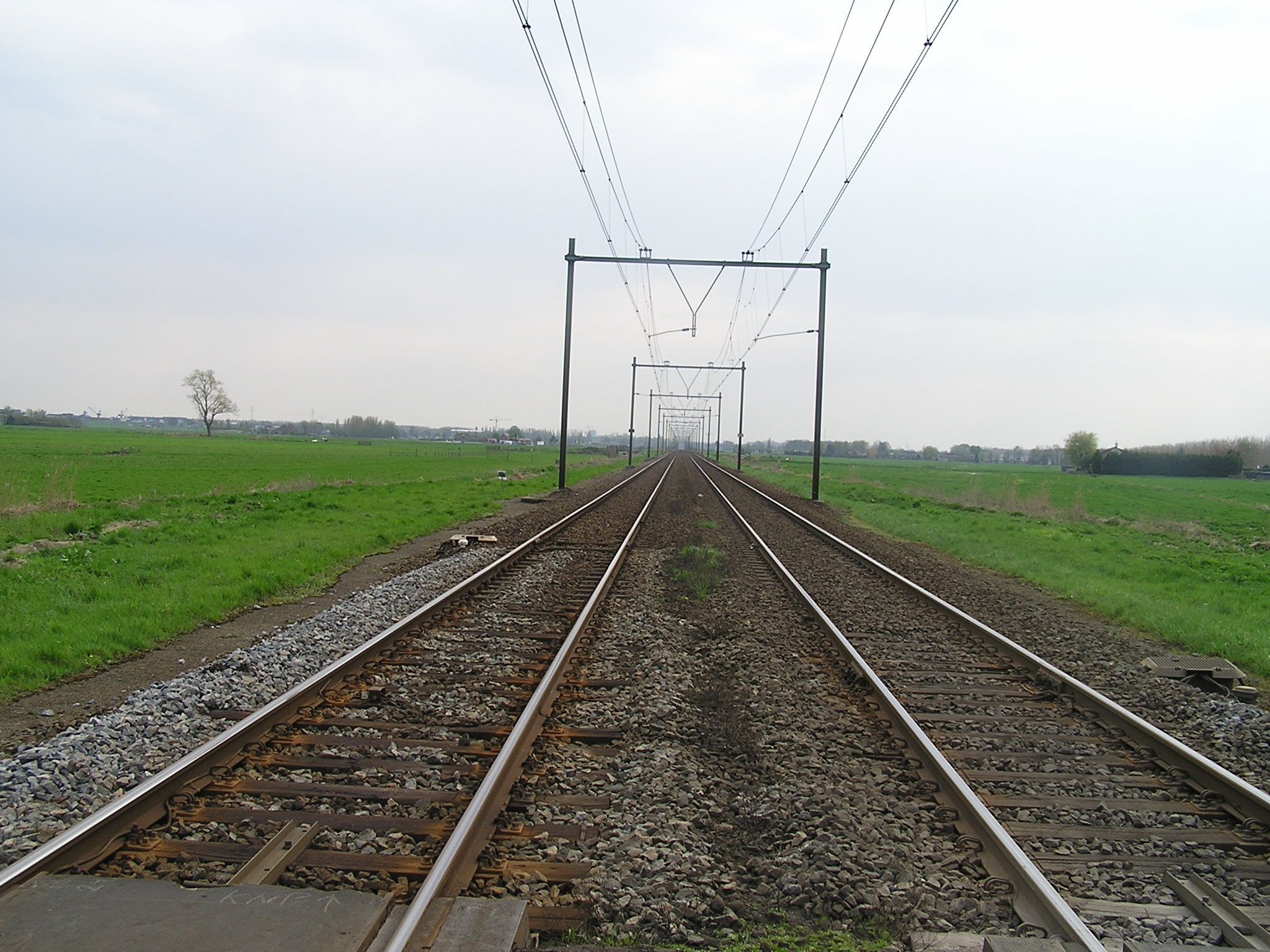 P1010175.JPG