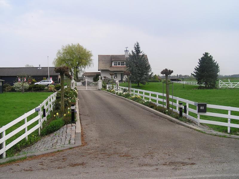 P1010177.JPG