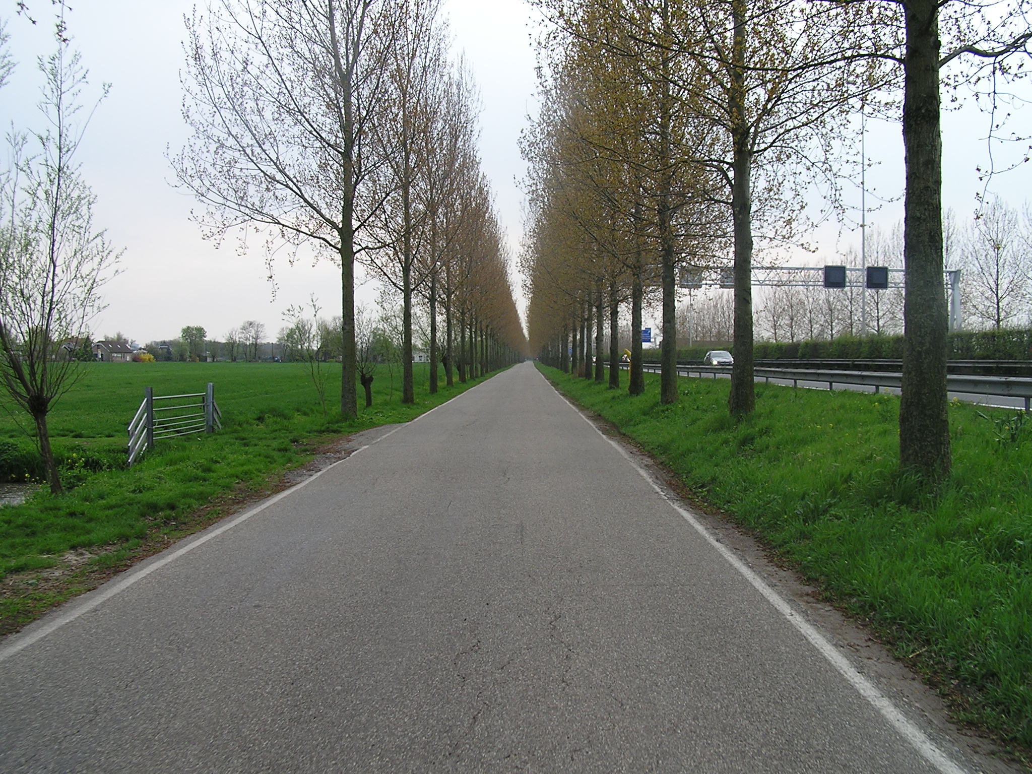 P1010178.JPG