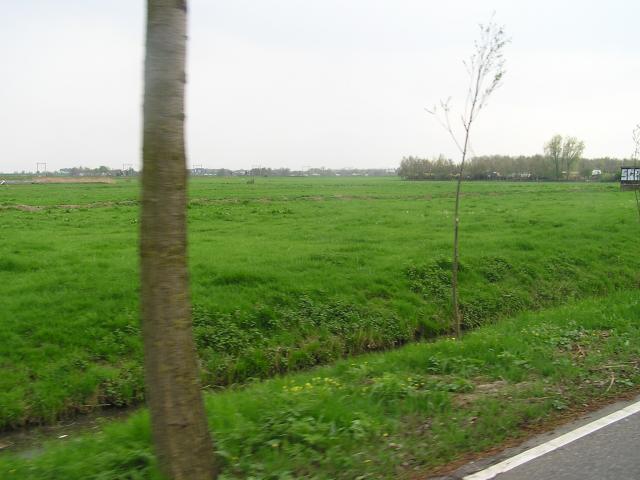 P1010179.JPG