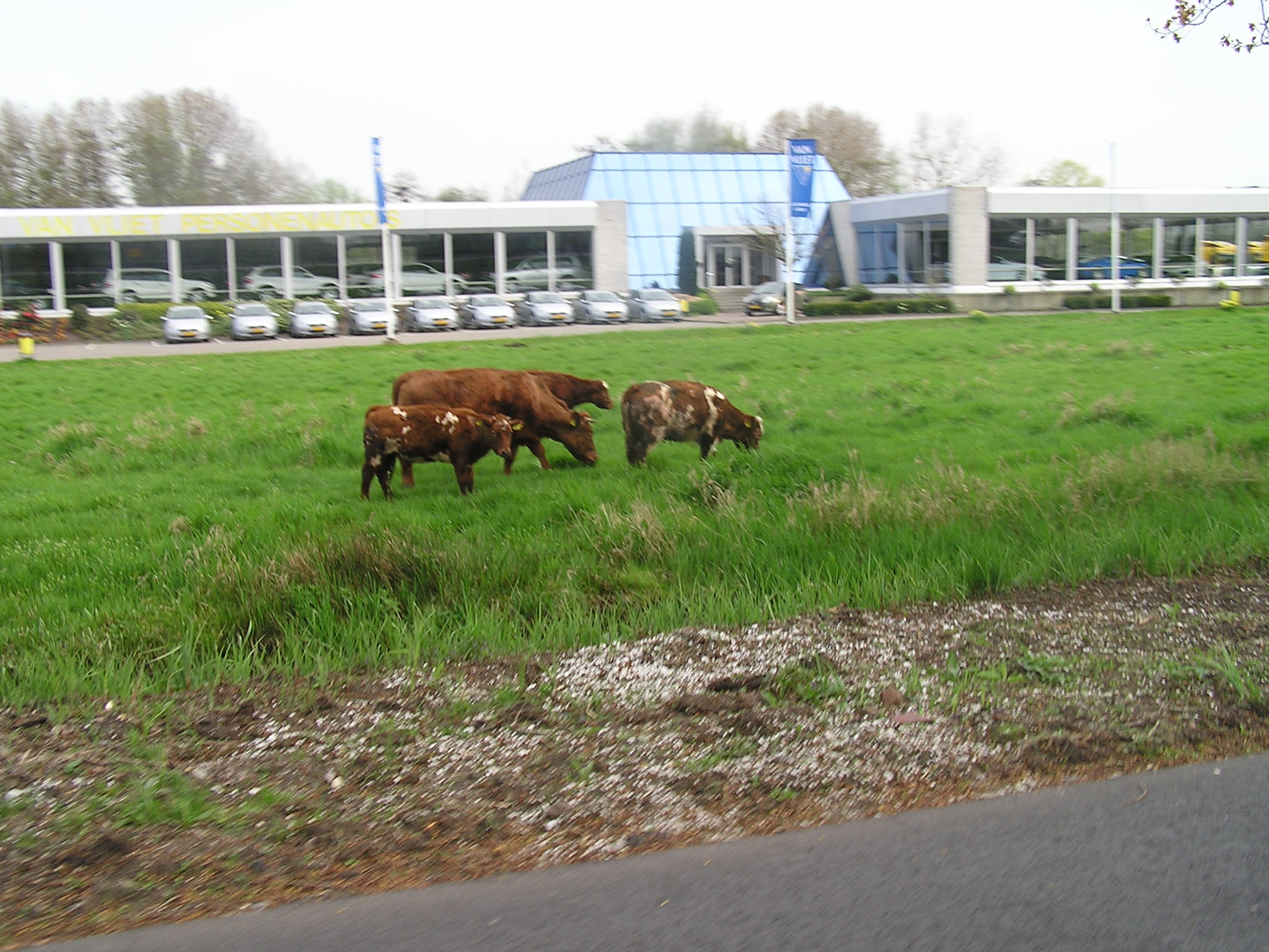 P1010181.JPG
