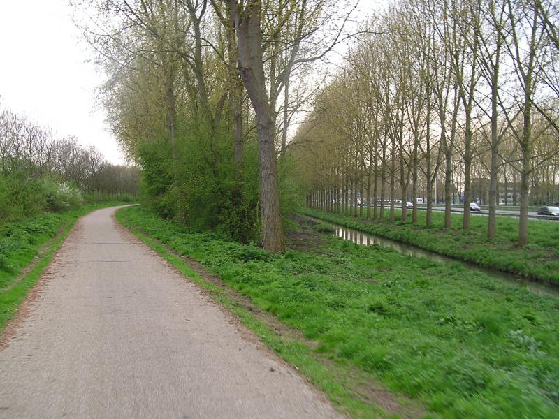 P1010185.JPG