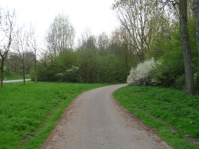P1010186.JPG