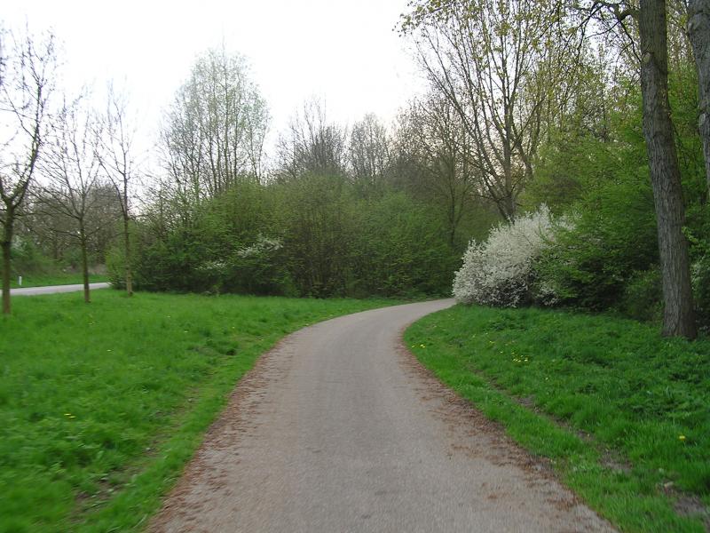 P1010186.JPG