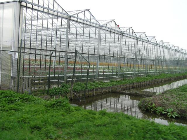 P1010192.JPG