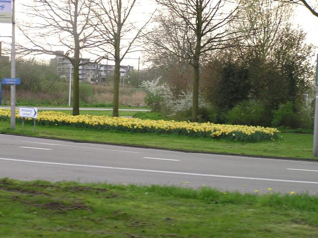 P1010193.JPG