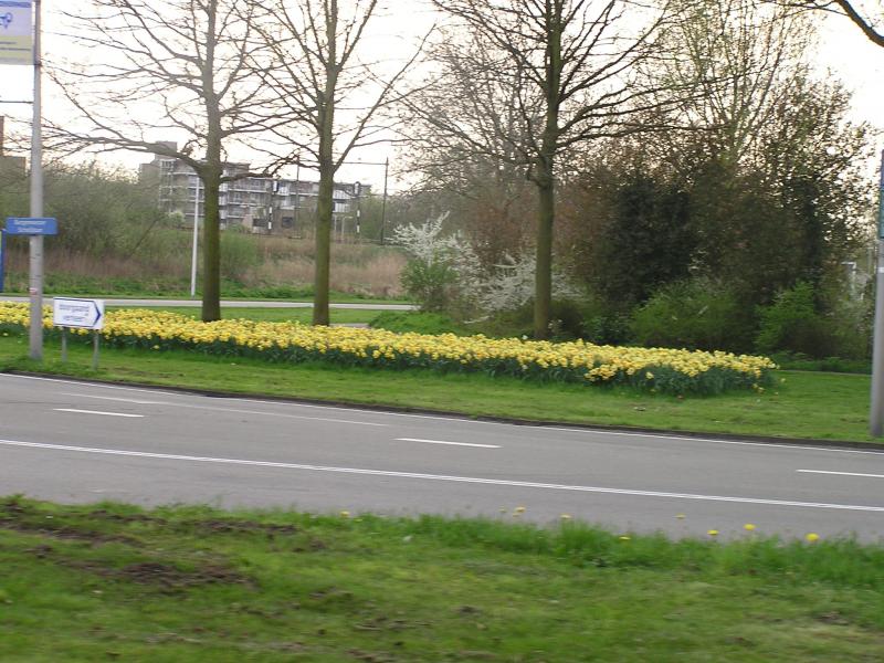 P1010193.JPG