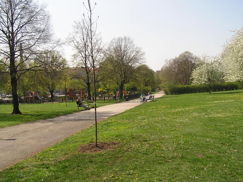 p1010004.jpg