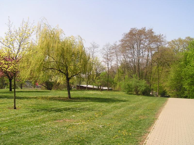 p1010005.jpg