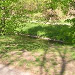 p1010006.jpg