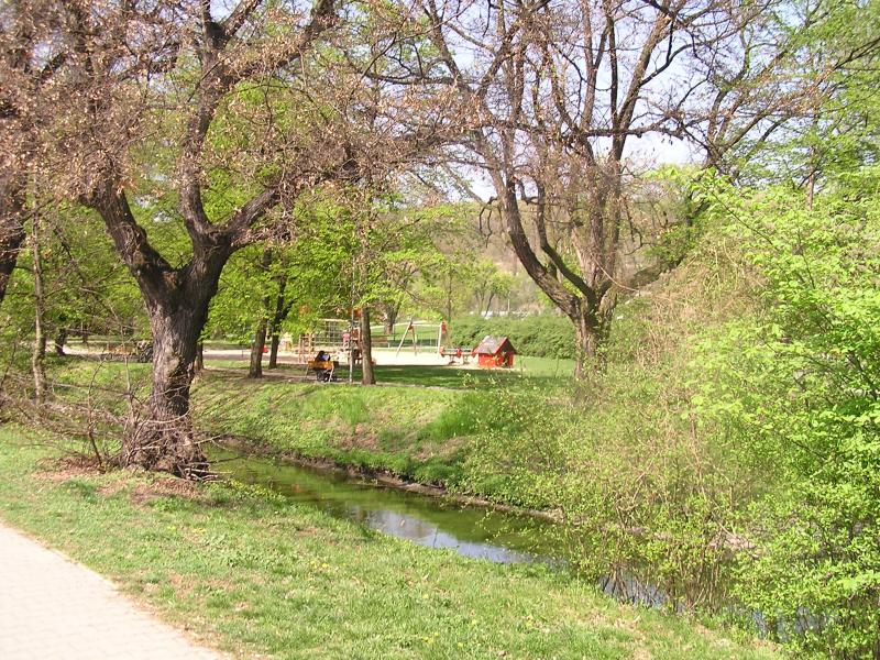 p1010007.jpg