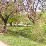 p1010007.jpg