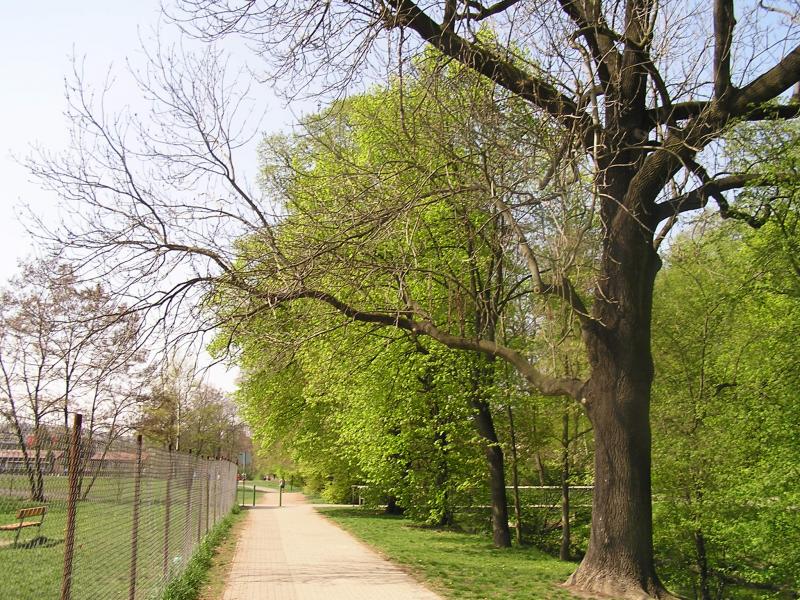 p1010009.jpg