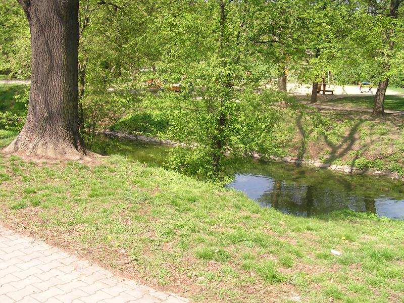 p1010010.jpg